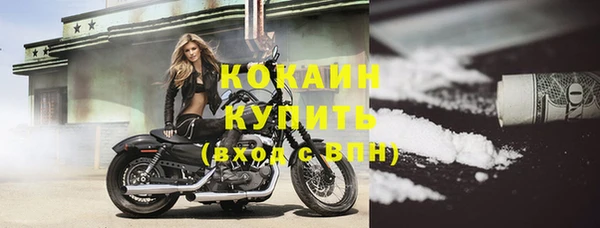 прущие грибы Абдулино