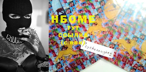хмурый Абаза