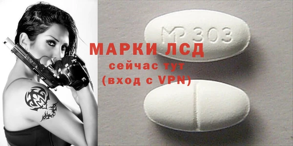 хмурый Абаза