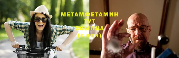 хмурый Абаза