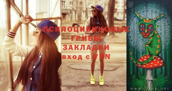 прущие грибы Абдулино