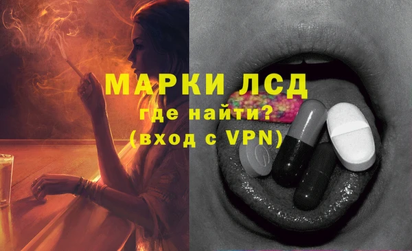 хмурый Абаза