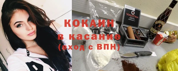 хмурый Абаза