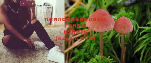mdpv Абинск