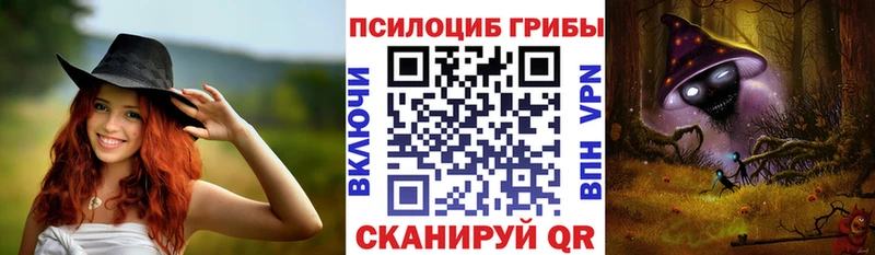 где купить наркоту  Нижняя Тура  Псилоцибиновые грибы ЛСД 