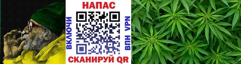 Бошки марихуана Ganja  omg сайт  Нижняя Тура 